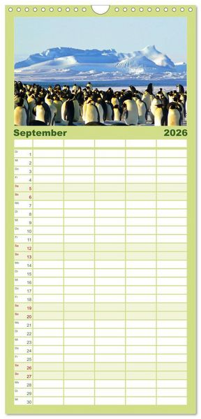 Produktbild: Familienplaner 2026 - Pinguine - Watscheln im festlichen Kleid mit 5 Spalten (Wandkalender, 21 x 45 cm) CALVENDO