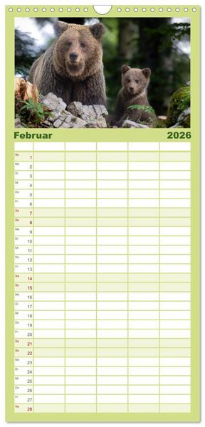 Produktbild: Familienplaner 2026 - Lautlos in den W&auml;ldern Sloweniens mit 5 Spalten (Wandkalender, 21 x 45 cm) CALVENDO