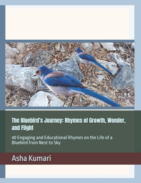 Produktbild: The Bluebird's Journey