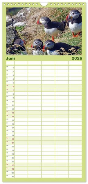 Produktbild: Familienplaner 2026 - Papageitaucher - Clowns der nordischen Vogelwelt mit 5 Spalten (Wandkalender, 21 x 45 cm) CALVENDO