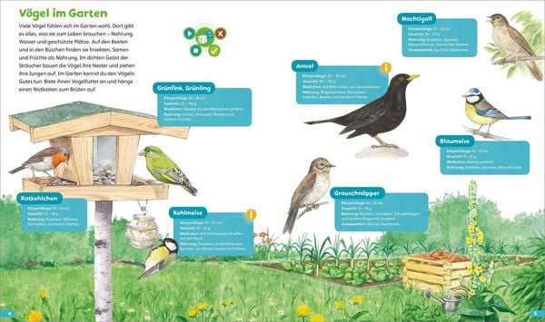 Produktbild: BOOKii&reg; H&ouml;ren und Staunen Heimische V&ouml;gel