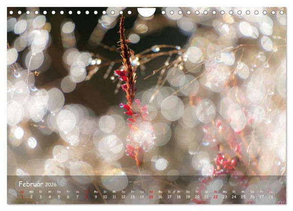 Produktbild: Zauberhaftes Norderstedt (Wandkalender 2026 DIN A4 quer), CALVENDO Monatskalender