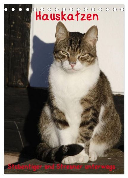 Produktbild: Hauskatzen (Tischkalender 2026 DIN A5 hoch), CALVENDO Monatskalender