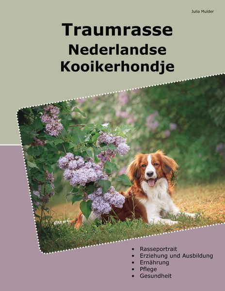 Produktbild: Traumrasse Nederlandse Kooikerhondje