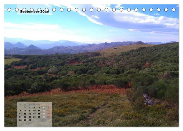 Produktbild: Nordportugal - Heimat der letzten wilden Pferde (Tischkalender 2026 DIN A5 quer), CALVENDO Monatskalender