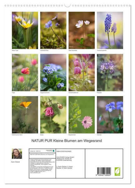 Produktbild: NATUR PUR Kleine Blumen am Wegesrand (hochwertiger Premium Wandkalender 2026 DIN A2 hoch), Kunstdruck in Hochglanz