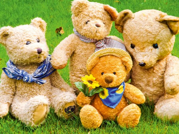 Produktbild: CALVENDO Puzzle Einfach zum Knuddeln die B&auml;renfamilie 1000 Teile Lege-Gr&ouml;&szlig;e 64 x 48 cm Foto-Puzzle Bild von Karin Sigwarth