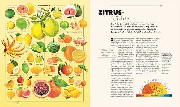 Produktbild: Universum des Wissens