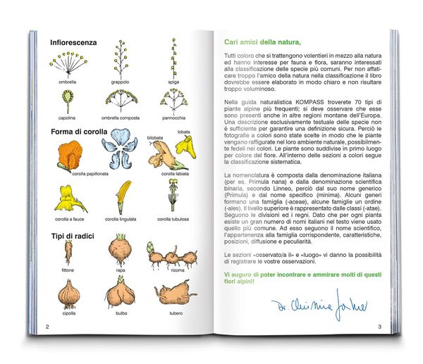 Produktbild: Fiori alpini
