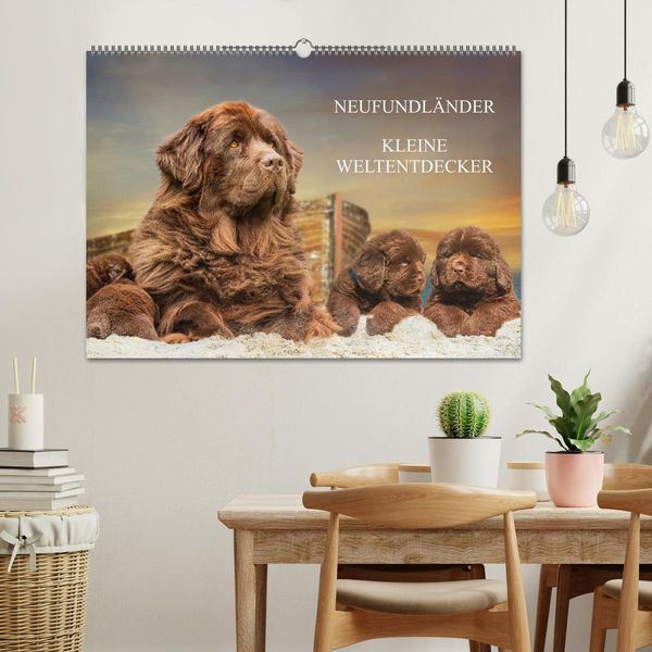 Produktbild: Neufundl&auml;nder - Kleine Weltentdecker (Wandkalender 2026 DIN A2 quer), CALVENDO Monatskalender