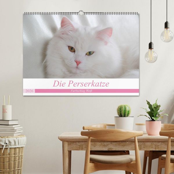 Produktbild: Die Perserkatze - Farbschlag Wei&szlig; (Wandkalender 2026 DIN A2 quer), CALVENDO Monatskalender