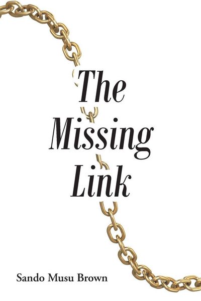 Produktbild: The Missing Link