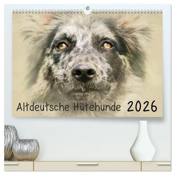 Produktbild: Altdeutsche H&uuml;tehunde 2026 (hochwertiger Premium Wandkalender 2026 DIN A2 quer), Kunstdruck in Hochglanz