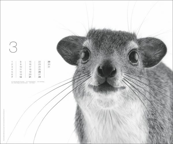 Produktbild: Black & White Animals 2027
