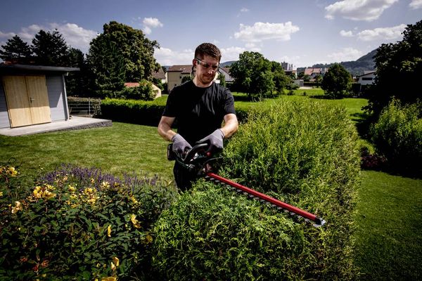 Produktbild: Metabo HS 18 LTX 65 Akku Heckenschere ohne Akku 18V