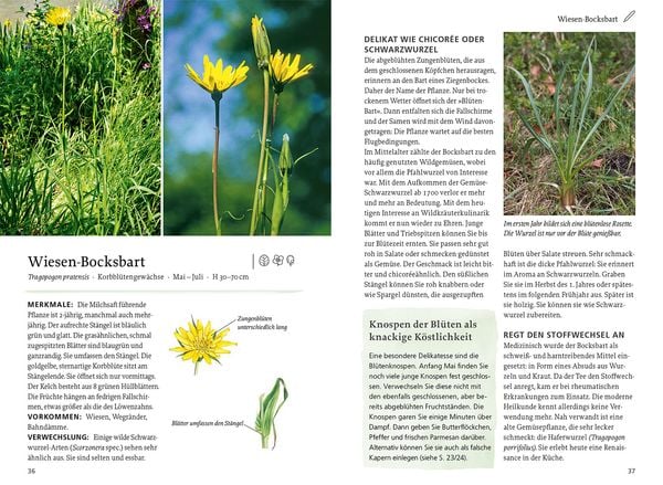 Produktbild: Unsere essbaren Wildpflanzen