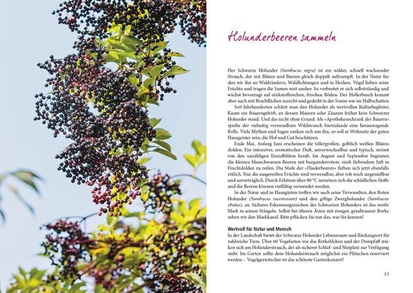 Produktbild: Herbstfr&uuml;chte