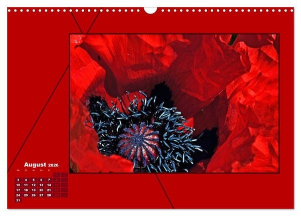 Produktbild: Powerfarbe Rot (Wandkalender 2026 DIN A3 quer), CALVENDO Monatskalender