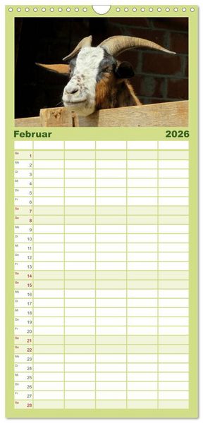 Produktbild: Familienplaner 2026 - Wer zickt denn da? Mit Ziegen durchs Jahr mit 5 Spalten (Wandkalender, 21 x 45 cm) CALVENDO