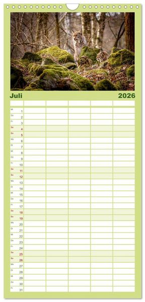 Produktbild: Familienplaner 2026 - Der Luchs - Begegnungen mit einer Raubkatze mit 5 Spalten (Wandkalender, 21 x 45 cm) CALVENDO