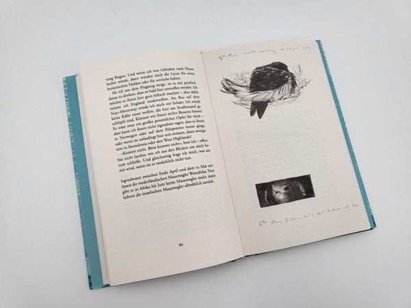 Produktbild: Der Ruf des Sommers
