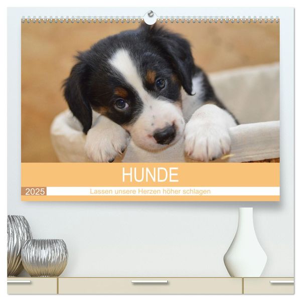 HUNDE - Lassen unsere Herzen höher schlagen (hochwertiger Premium Wandkalender 2025 DIN A2 quer), Kunstdruck in Hochglan