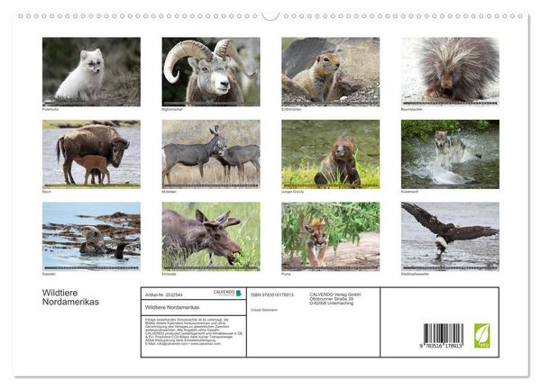 Produktbild: Wildtiere Nordamerikas (hochwertiger Premium Wandkalender 2026 DIN A2 quer), Kunstdruck in Hochglanz