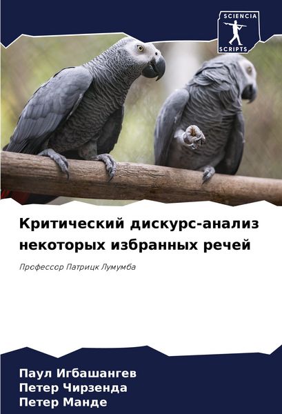 Produktbild: Kriticheskij diskurs-analiz nekotoryh izbrannyh rechej