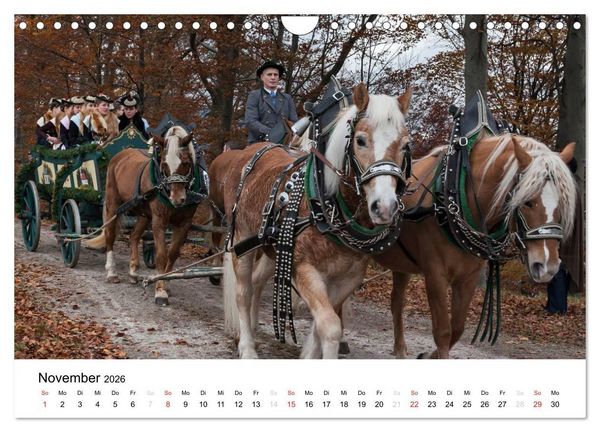 Produktbild: Der Isarwinkel (Wandkalender 2026 DIN A4 quer), CALVENDO Monatskalender
