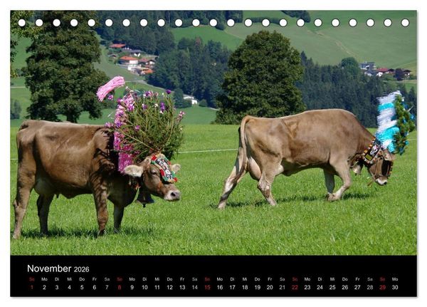 Produktbild: Almabtrieb in Tirol (Tischkalender 2026 DIN A5 quer), CALVENDO Monatskalender