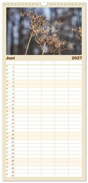 Produktbild: Familienplaner 2027 - Verbl&uuml;hte Sch&ouml;nheiten mit 5 Spalten (Wandkalender, 21 x 45 cm) CALVENDO