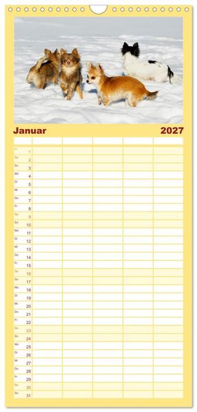 Produktbild: Familienplaner 2027 - Enegieb&uuml;ndel Chihuahua - Temperament auf vier Pfoten mit 5 Spalten (Wandkalender, 21 x 45 cm) CALVENDO