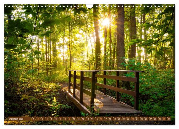 Produktbild: Herbst im Dieskauer Park (Wandkalender 2026 DIN A3 quer), CALVENDO Monatskalender