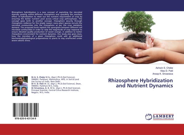 Produktbild: Rhizosphere Hybridization and Nutrient Dynamics