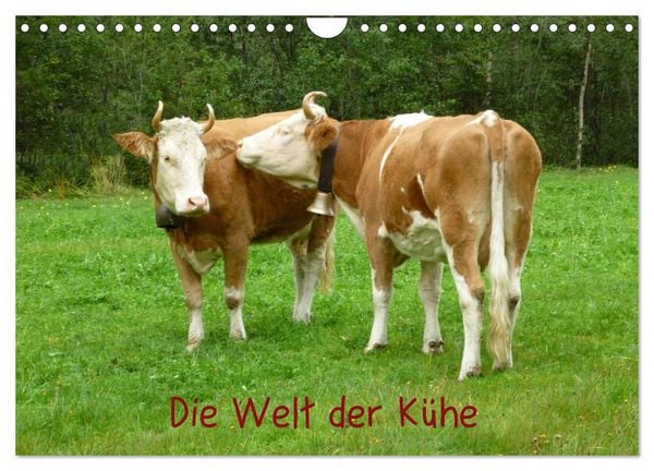 Produktbild: Die Welt der K&uuml;he (Wandkalender 2026 DIN A4 quer), CALVENDO Monatskalender