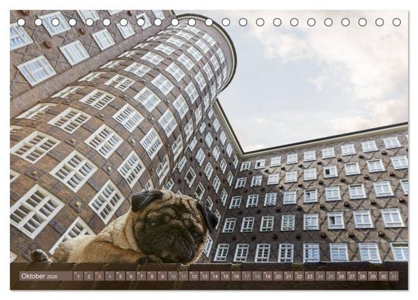 Produktbild: Hamburg - Stadt der M&ouml;pse (Tischkalender 2026 DIN A5 quer), CALVENDO Monatskalender