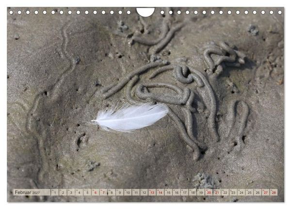 Produktbild: Cuxland, Urlaubsgl&uuml;ck zwischen Nordsee und Elbe (Wandkalender 2027 DIN A4 quer), CALVENDO Monatskalender