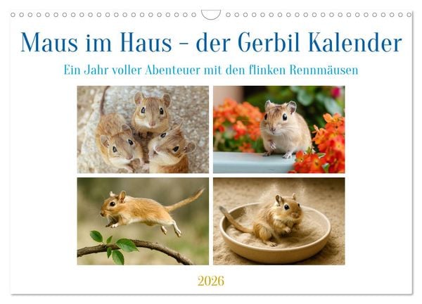 Maus im Haus - der Gerbil Kalender (Wandkalender 2026 DIN A3 quer), CALVENDO Monatskalender