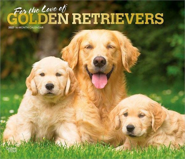 For the Love of Golden Retrievers 2027 14 X 24 Inch (Hanging) Monthly Deluxe Wall Calendar Foil Stamped Cover Plastic-Free