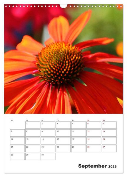 Produktbild: BL&Uuml;TENZAUBER (Wandkalender 2026 DIN A3 hoch), CALVENDO Monatskalender