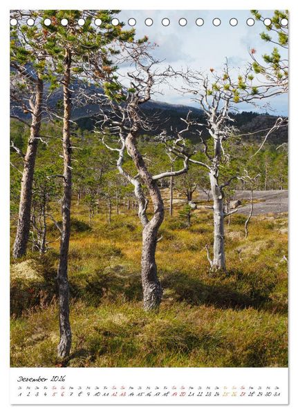 Produktbild: Norwegen - Das Land der Berge, Fjorde und Wasserf&auml;lle (Tischkalender 2026 DIN A5 hoch), CALVENDO Monatskalender