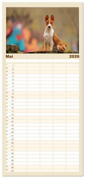 Produktbild: Familienplaner 2026 - Der Basenji mit 5 Spalten (Wandkalender, 21 x 45 cm) CALVENDO