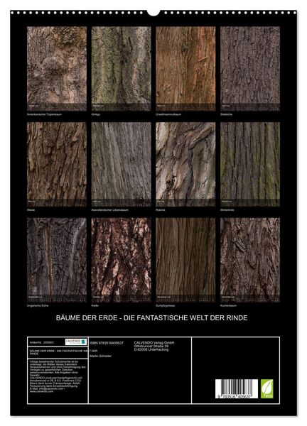 Produktbild: B&Auml;UME DER ERDE - DIE FANTASTISCHE WELT DER RINDE (hochwertiger Premium Wandkalender 2026 DIN A2 hoch), Kunstdruck in Hochglanz