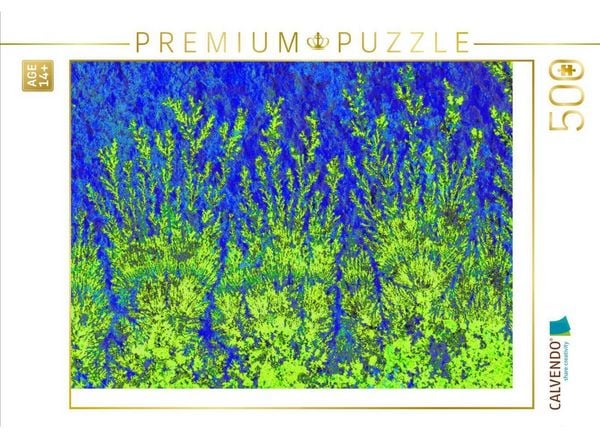 CALVENDO Puzzle Ein Motiv aus dem Kalender Versteinerte Miniaturwelten - Farbenspiele auf Solnhofener Plattenkalk | 500 Teile Lege-Größe 48 × 36 cm Foto-Puzzle für Erwachsene