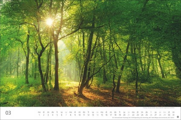 Produktbild: Wunderwelt Wald 2027