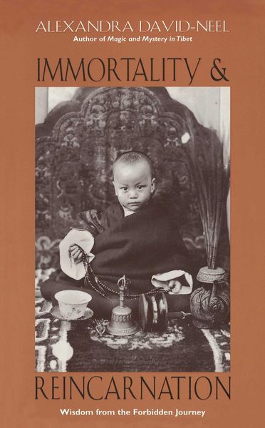 Produktbild: Immortality and Reincarnation