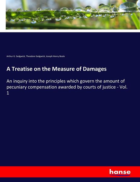 Produktbild: A Treatise on the Measure of Damages