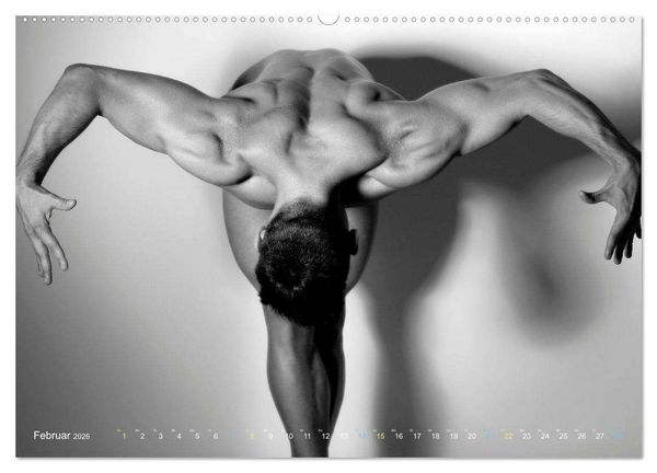 Produktbild: M&auml;nner... backview (Wandkalender 2026 DIN A2 quer), CALVENDO Monatskalender