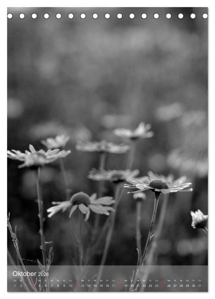 Produktbild: Monochrome Bl&uuml;ten - In Schwarz-Wei&szlig; Bildern durch das Jahr (Tischkalender 2026 DIN A5 hoch), CALVENDO Monatskalender