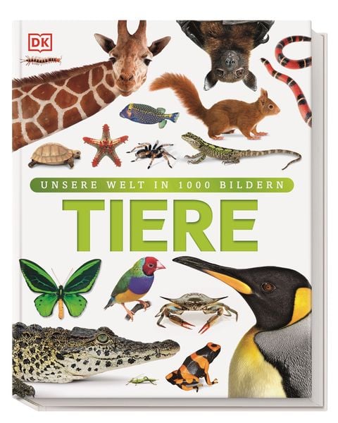 Produktbild: Unsere Welt in 1000 Bildern. Tiere